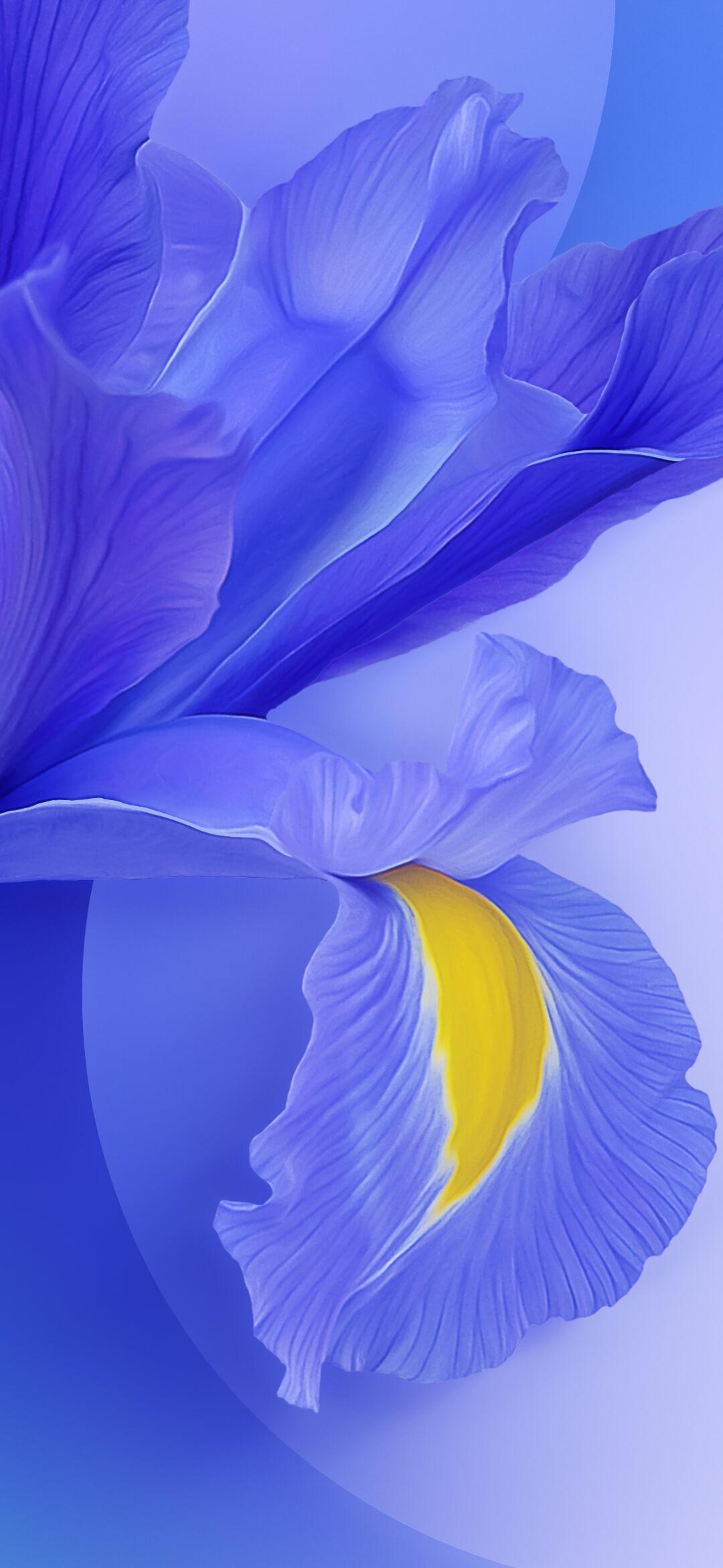 1080x2340 Download Xiaomi Mi 9 and Mi 9 SE Stock Wallpaper, Phone