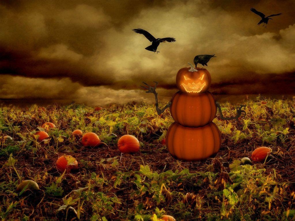 1030x770 Fall Pumpkin Wallpaper, Desktop