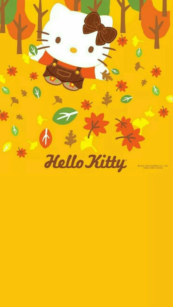 720x1280 Hello Kitty. Hello kitty themes, Hello kitty halloween, Hello kitty picture, Phone