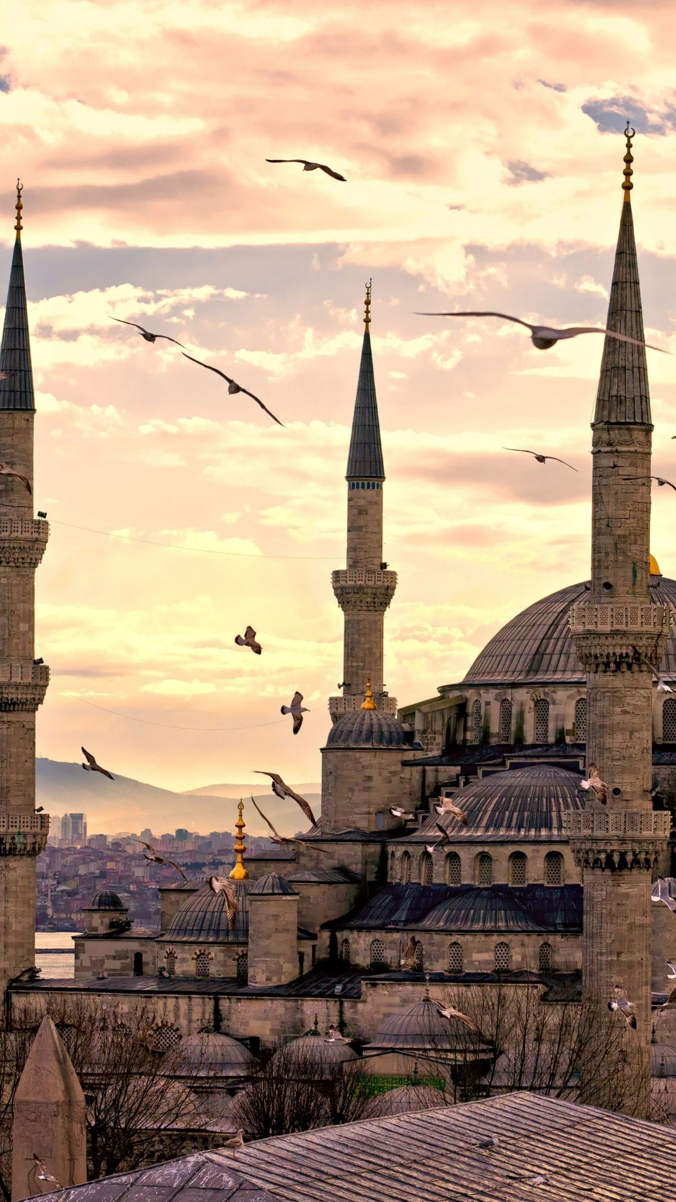 1350x2400 Download Sultan Ahmed Mosque, Istanbul, Turkey, Travel, Tourism, Phone