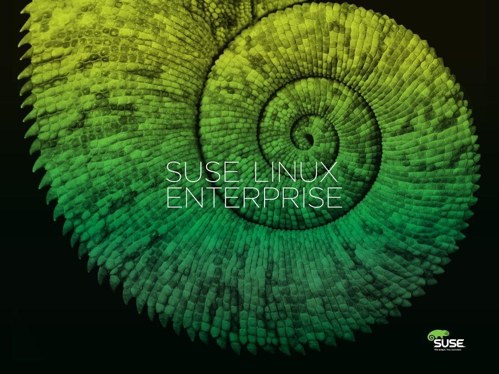 1030x770 SUSE Museum: Wallpaper Products, Desktop