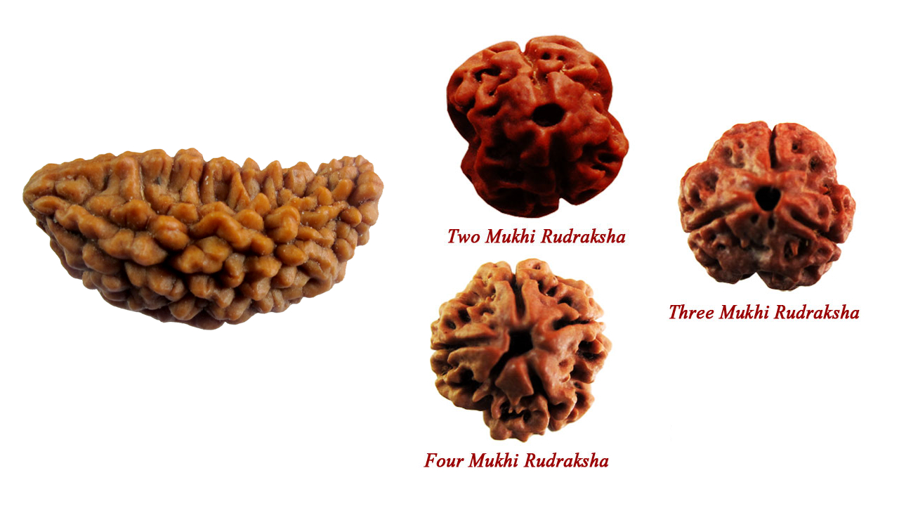 1280x720 Rudraksha Live Wallpaper: Appstore for Android, Desktop