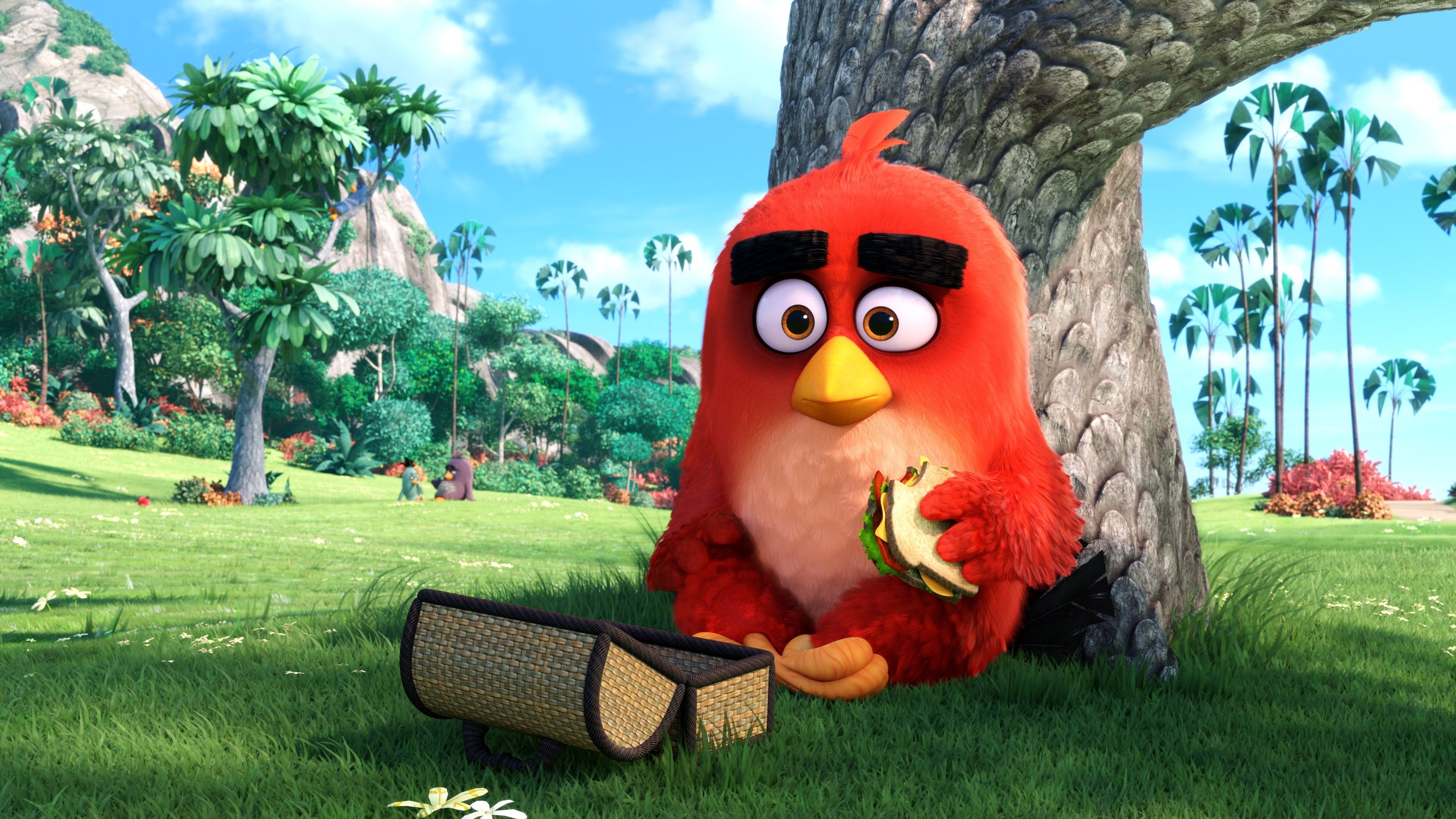 3840x2160 Wallpaper Red, Angry Birds, 4K, Movies,. Wallpaper for iPhone, Android, Mobile and Desktop, Desktop