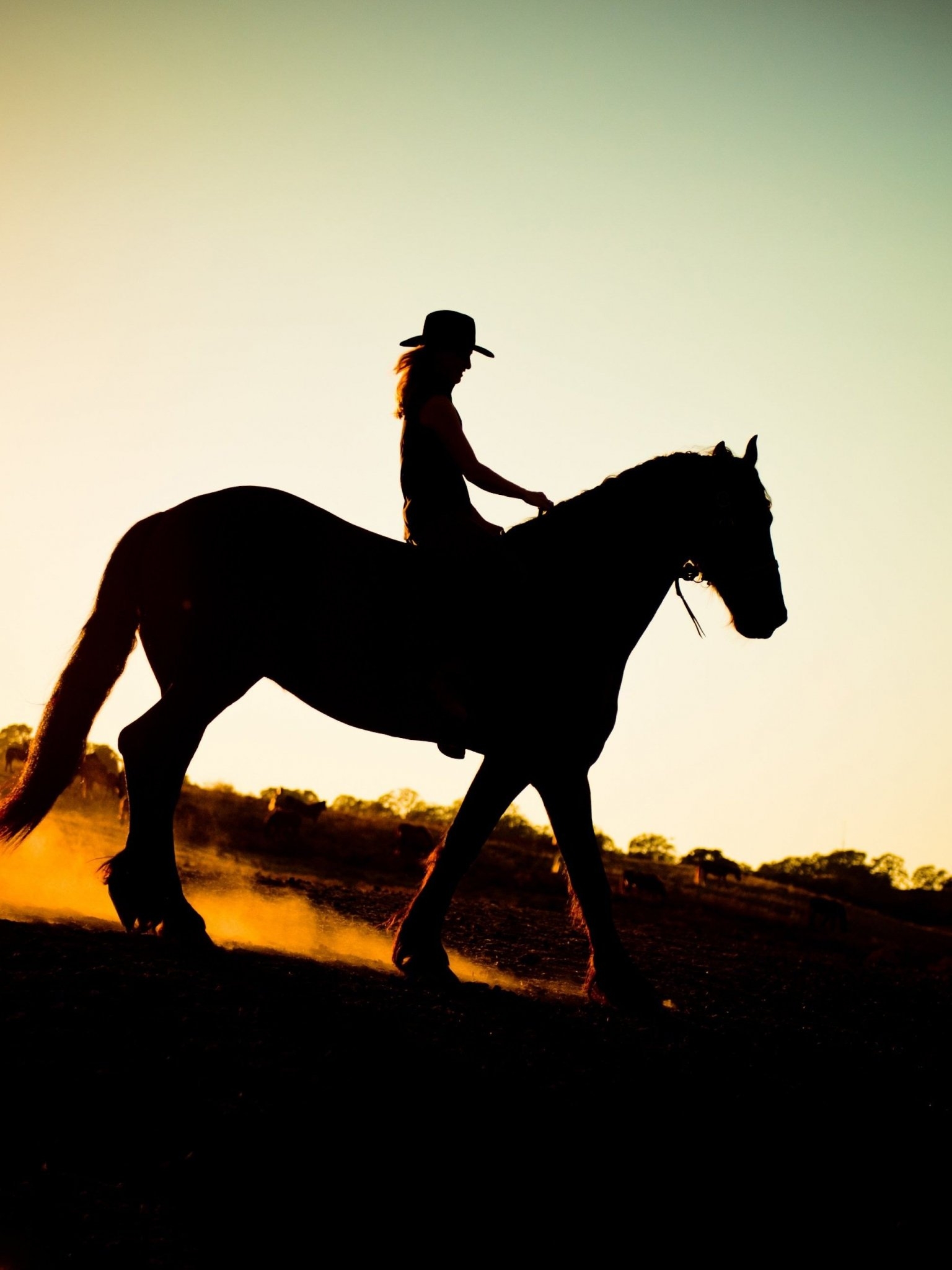 1540x2050 Free download 40 Cowgirls and Horse Sunset Wallpaper Download [3948x2628] for your Desktop, Mobile & Tablet. Explore Cowgirl Wallpaper. Cowgirl Wallpaper, Phone