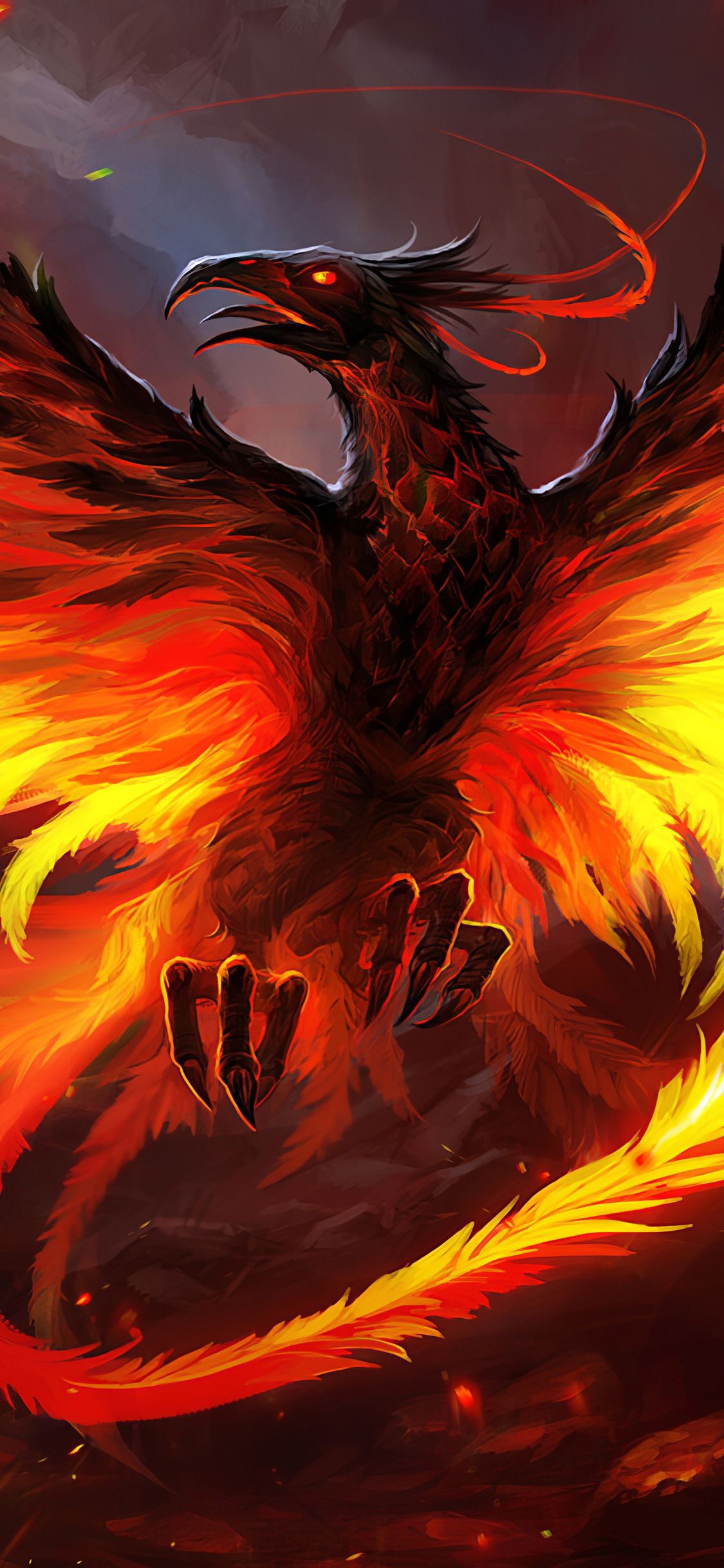 1130x2440 Phoenix The Red Bird 4k iPhone XS, iPhone iPhone X HD, Phone