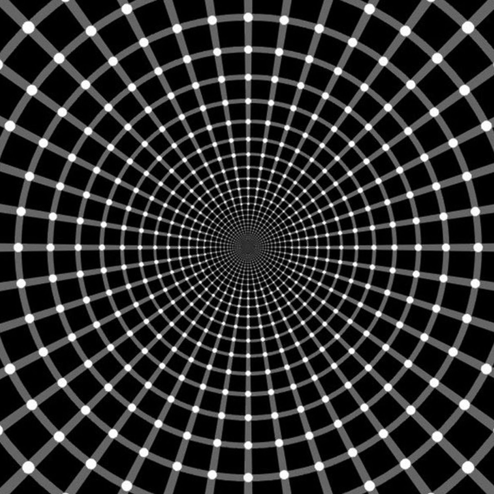 2050x2050 3D Illusion Wallpaper Free 3D Illusion Background, Phone