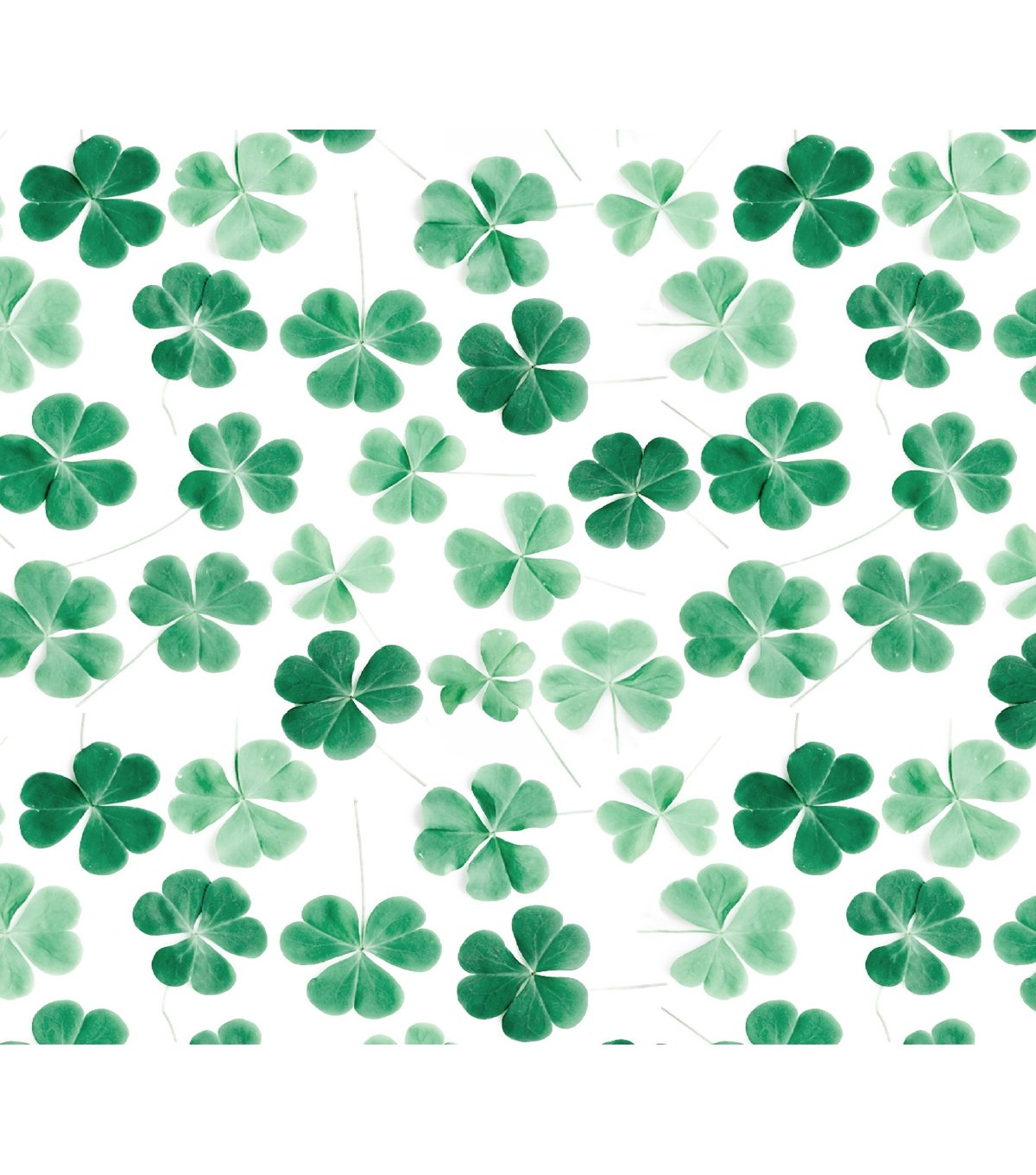 1200x1360 Free download St Patricks Day Cotton Fabric Photo Real Clovers On White JOANN [] for your Desktop, Mobile & Tablet. Explore Carnations Saint Patrick's Day Wallpaper. Carnations Saint Patrick's, Phone