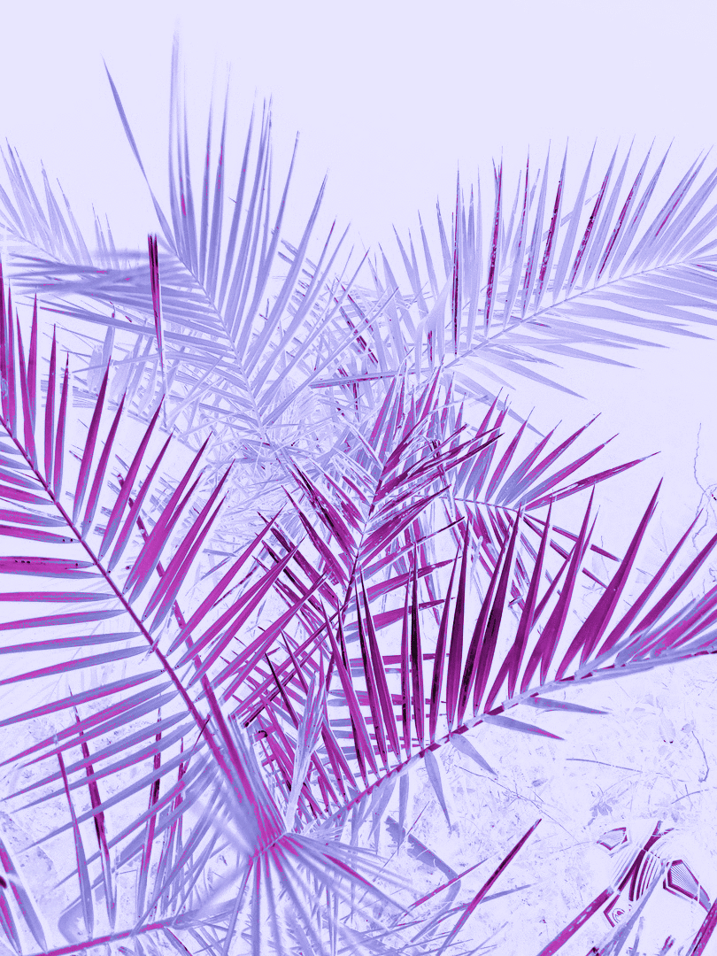 810x1080 Aesthetic Pastel Purple Wallpaper iPhone, Phone