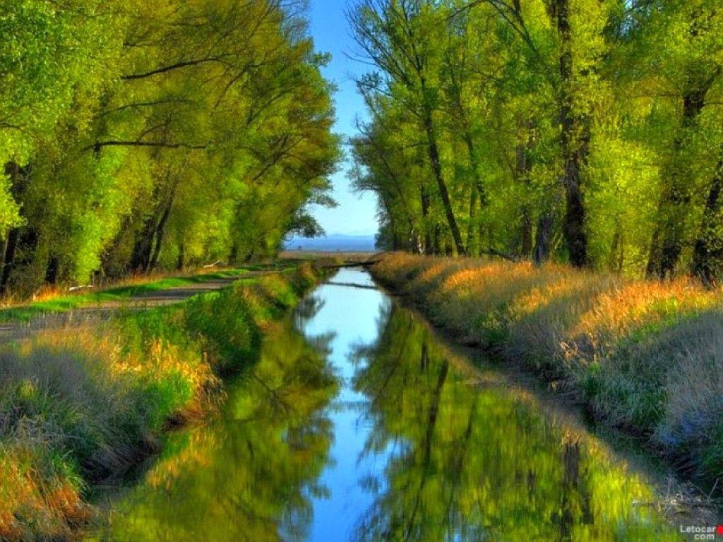 1030x770 4488BB Color wallpaper: Little Stream Cool Trees Said Image, Desktop