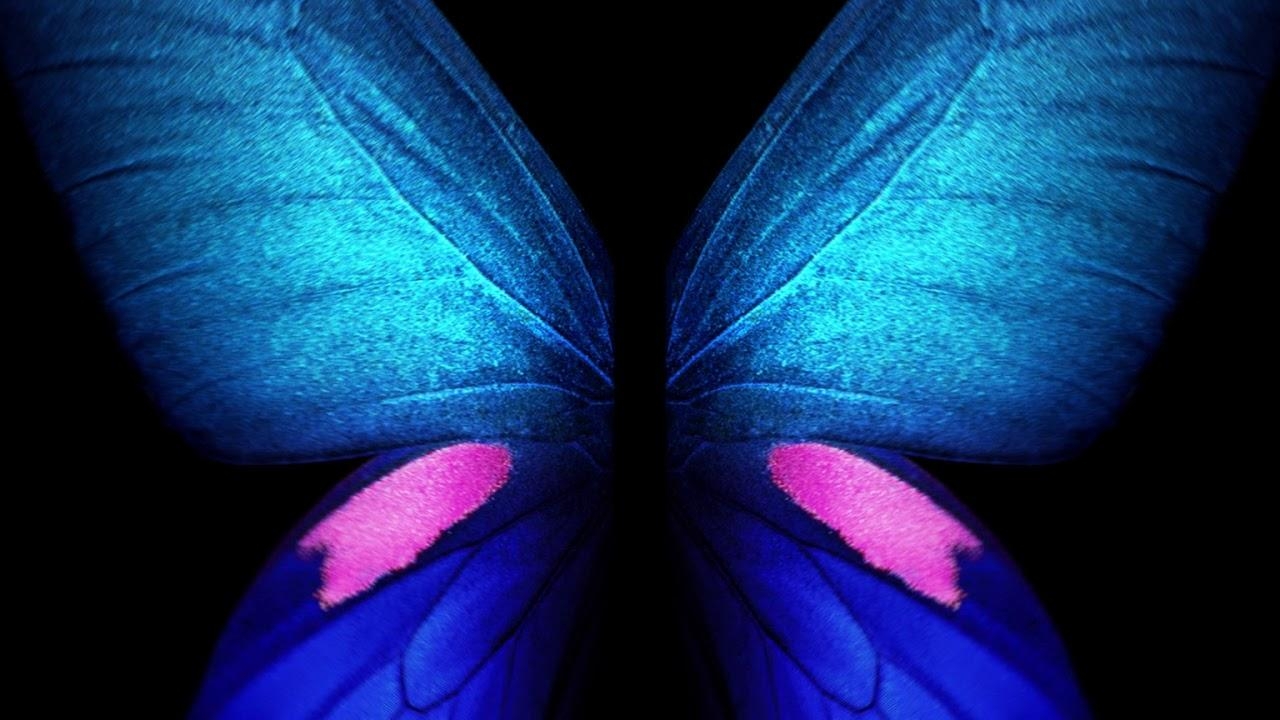 1280x720 Samsung Galaxy Fold Live Wallpaper Blue Butterfly, Desktop