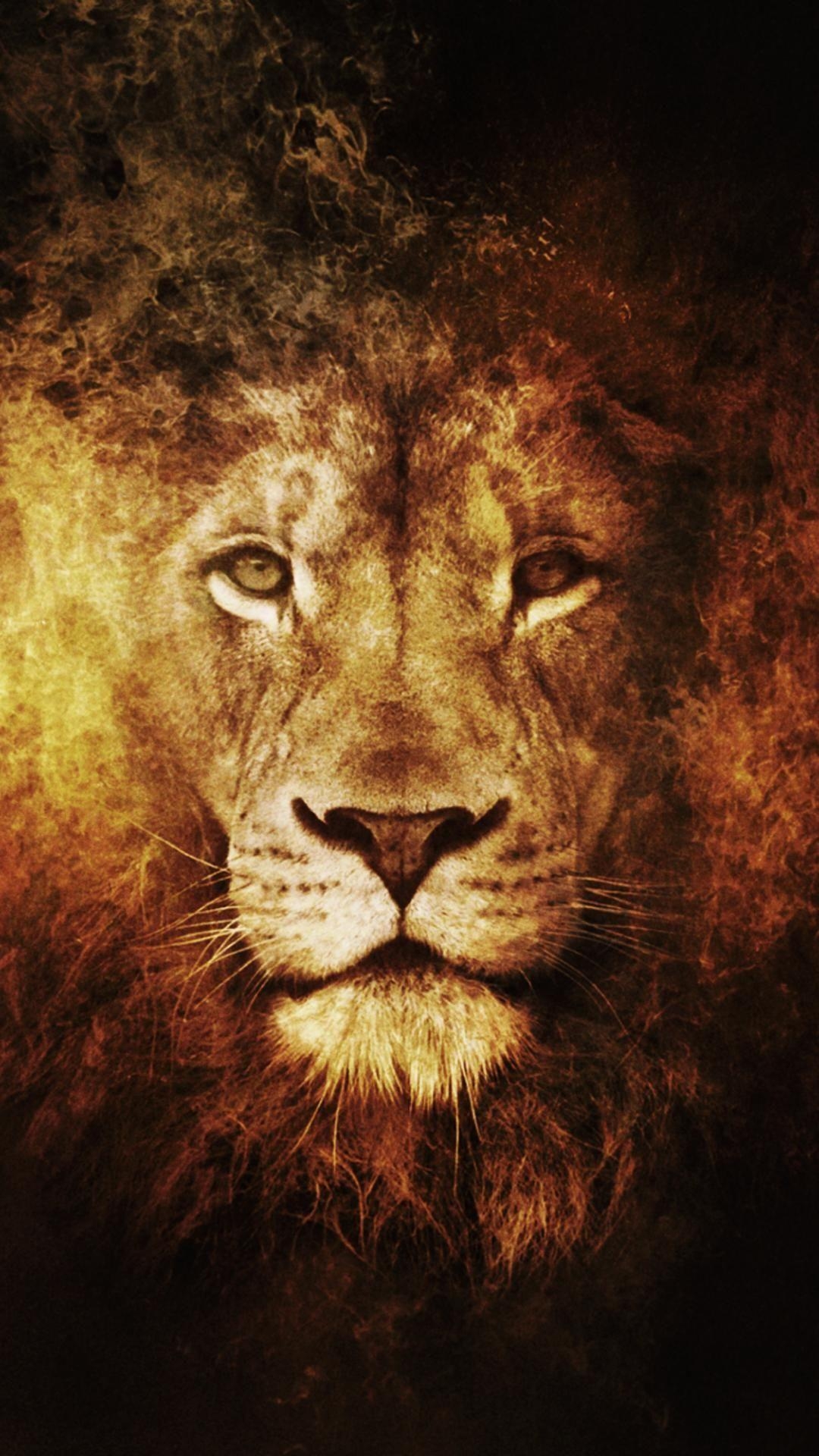 1080x1920 Lion Wallpaper HD iPhone 6 Plus Wallpaper. Lion artwork, Lion HD, Phone