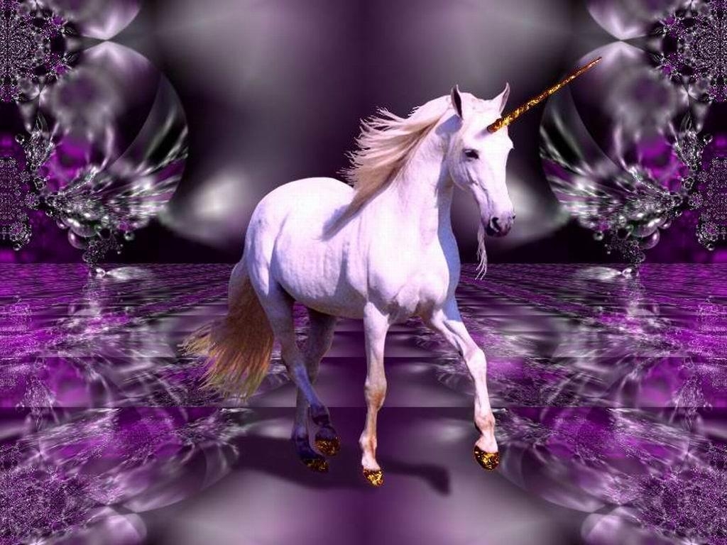 1030x770 Real Unicorn Wallpaper Image & Picture, Desktop