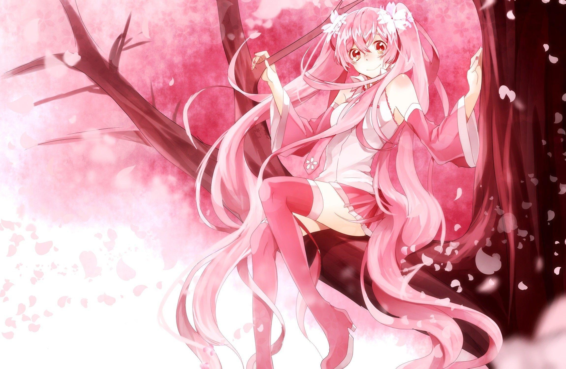 2300x1500 Vocaloid, #Hatsune Miku, #Sakura Miku, #twintails. Wallpaper No, Desktop