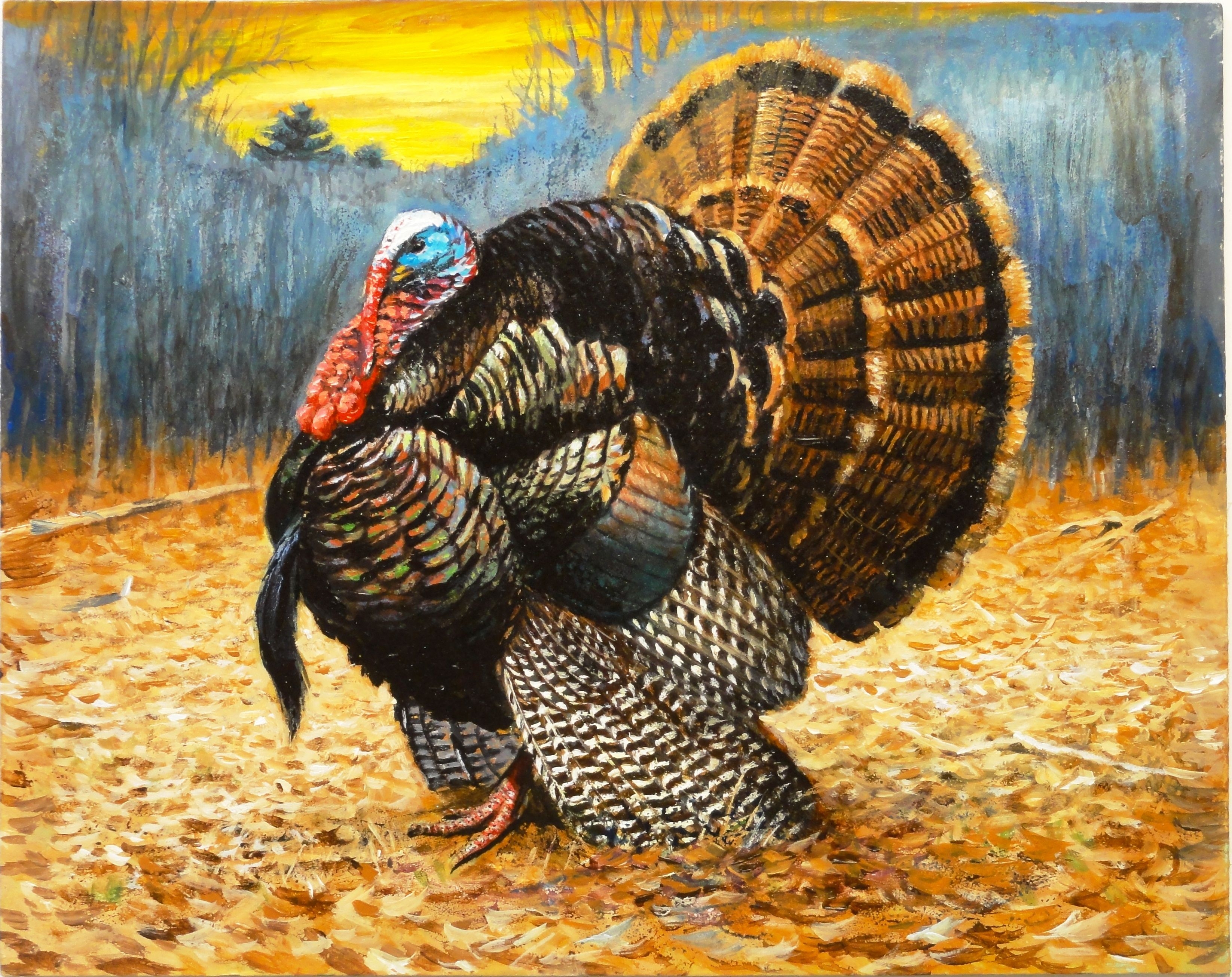 3300x2620 Turkey Picture, Desktop