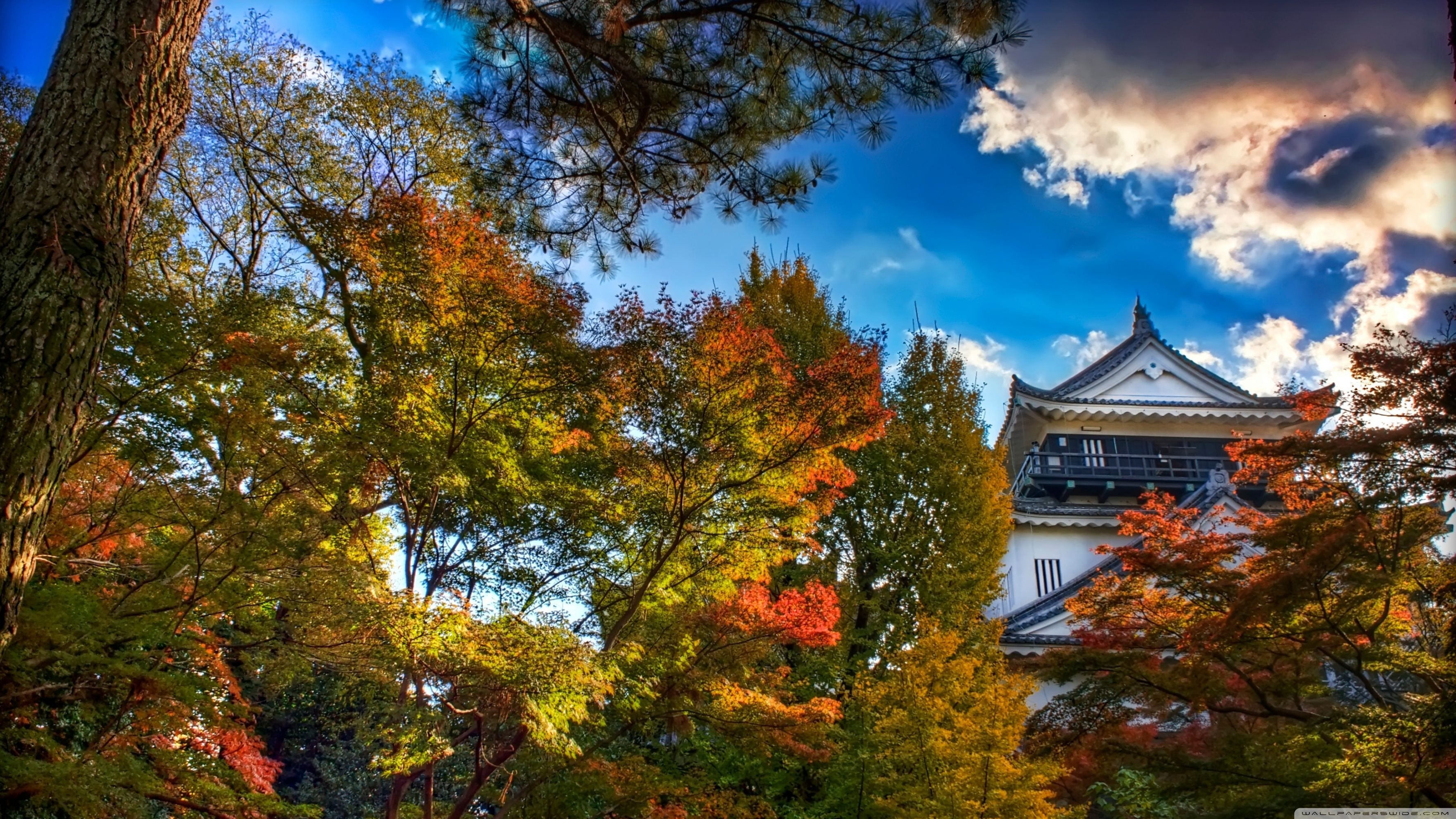 3560x2000 Japan Autumn Wallpaper, Desktop