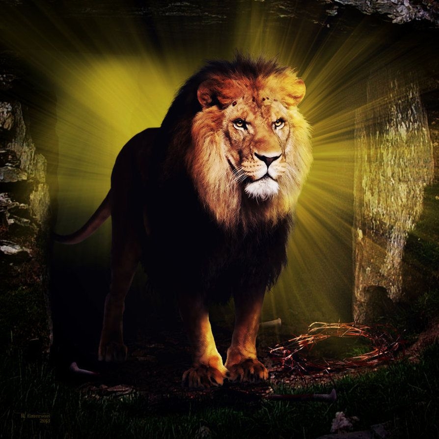 900x900 Free download The Lion of Judah by robhas1left [], Phone