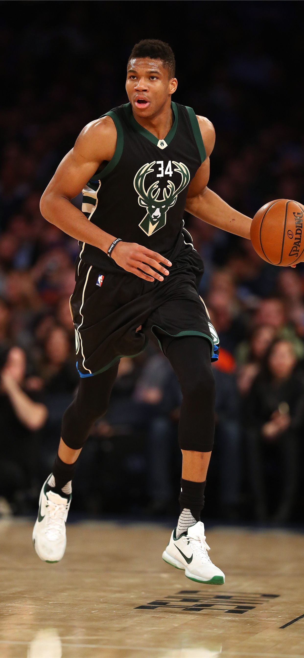 1250x2690 Giannis Antetokounmpo on Dog iPhone Wallpaper Free Download, Phone