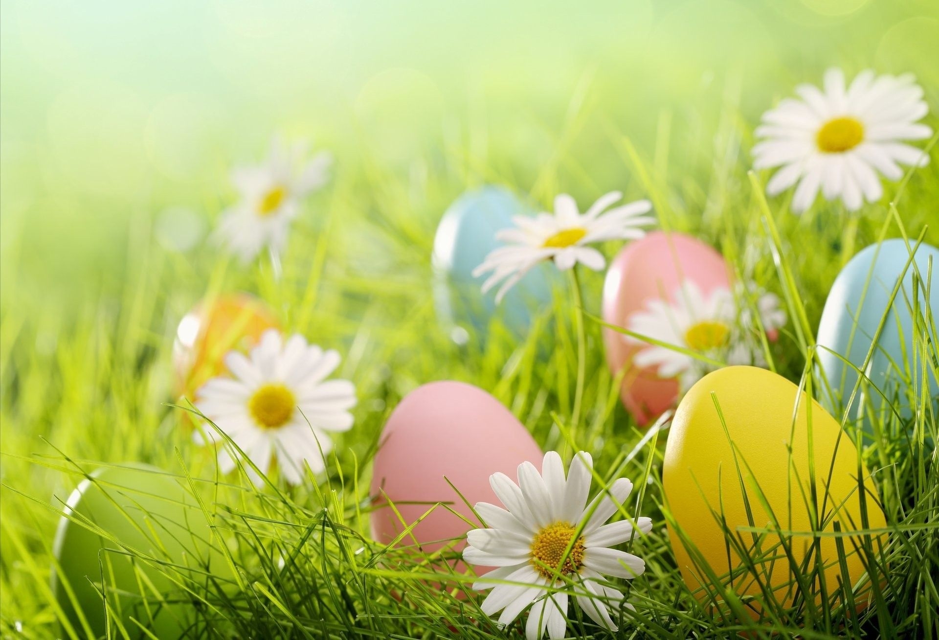 1920x1310 Easter spring, iPhone, Desktop HD Background / Wallpaper (1080p, 4k) () (2021), Desktop