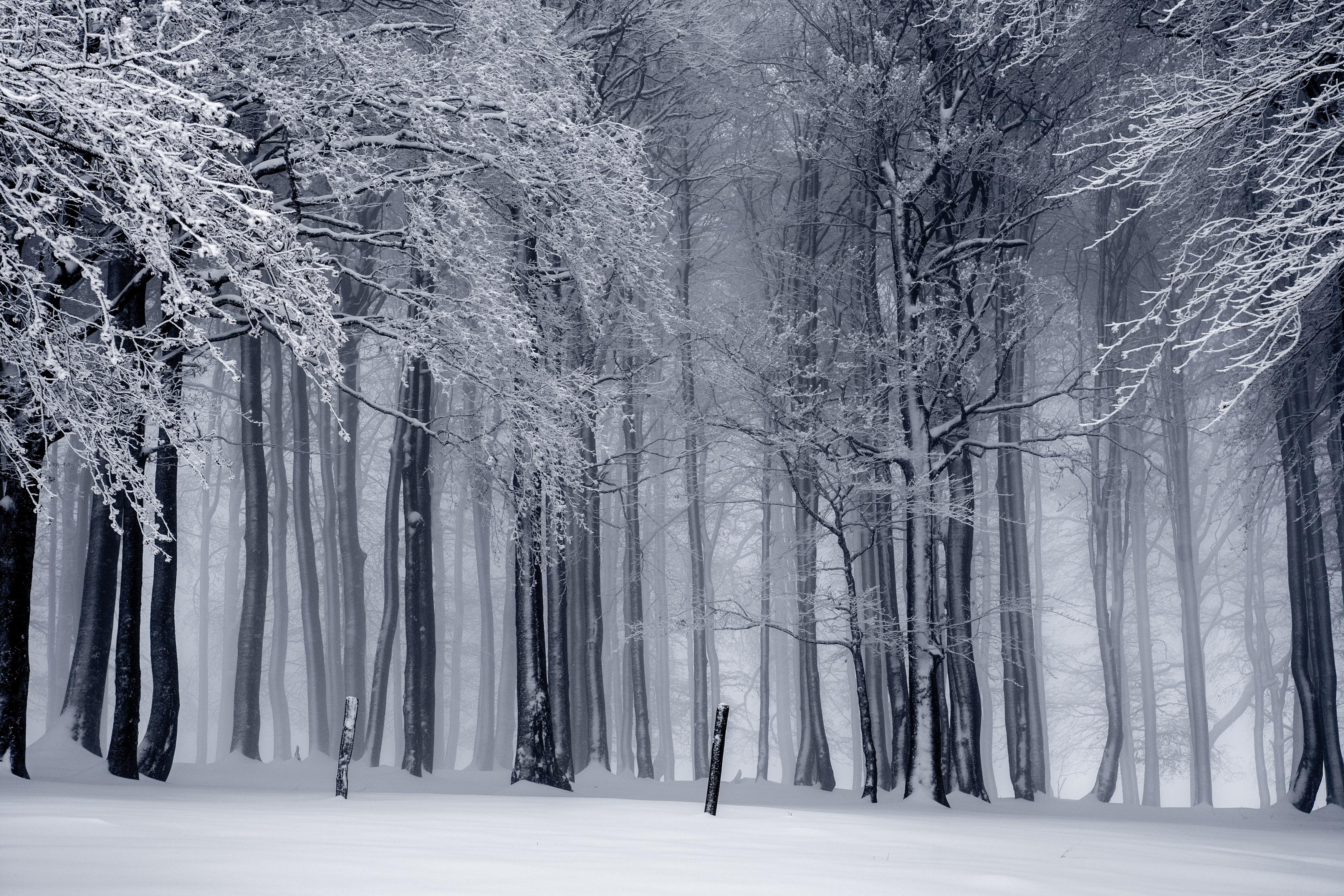 3500x2340 Black And White Cold Fog Image. Free Stock Image, Desktop