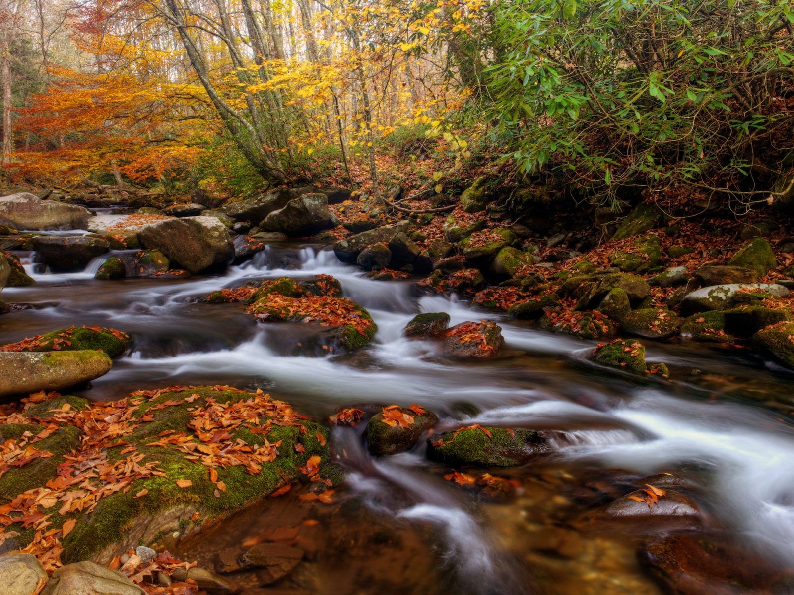 1600x1200 Great Smoky Mountains National Park Is Americas Oconaluftee River, Desktop