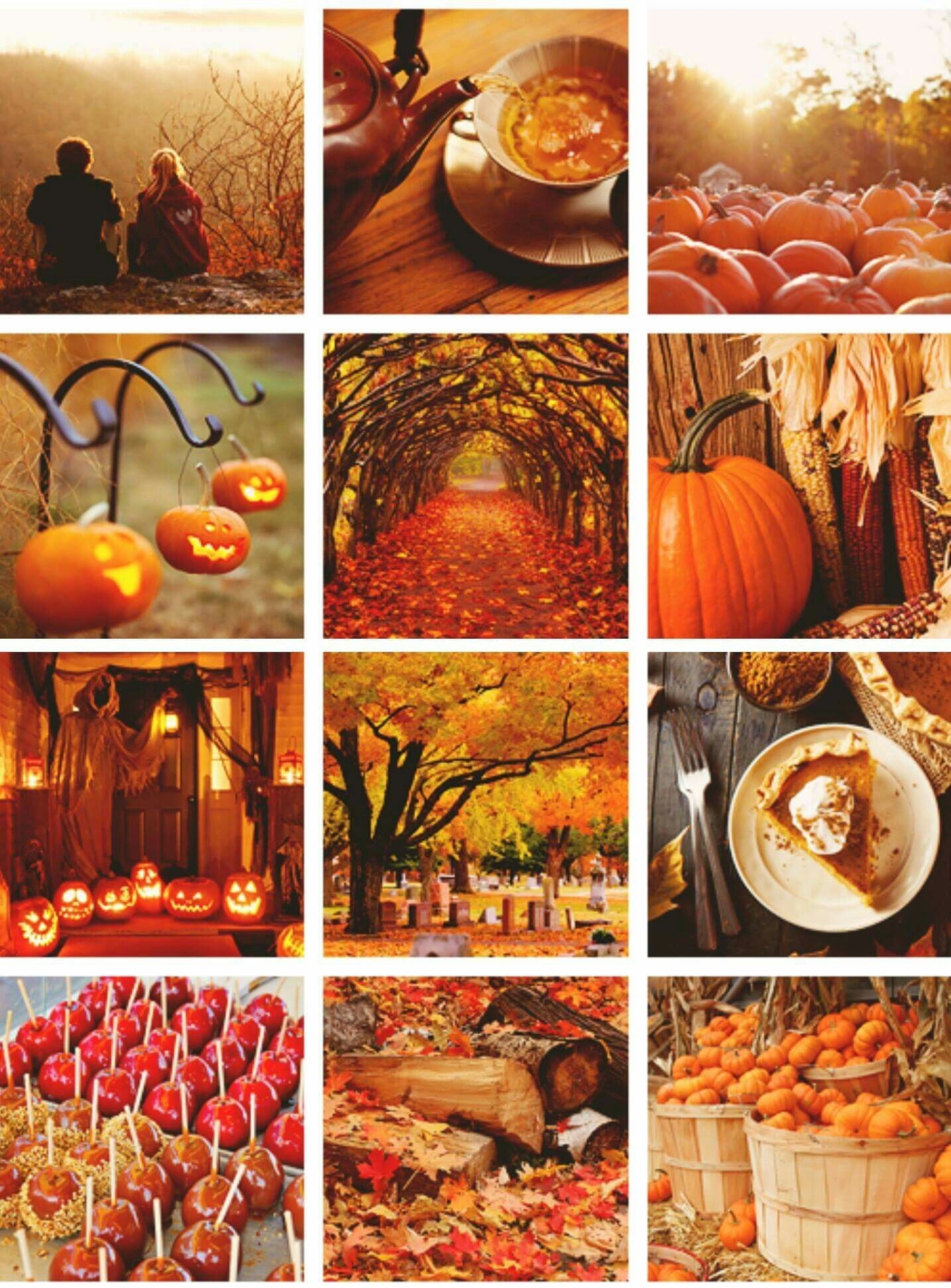 1440x1950 autumn #collage #photography #moodboards. Fall is coming, Fall wallpaper, Autumn scenery, Phone