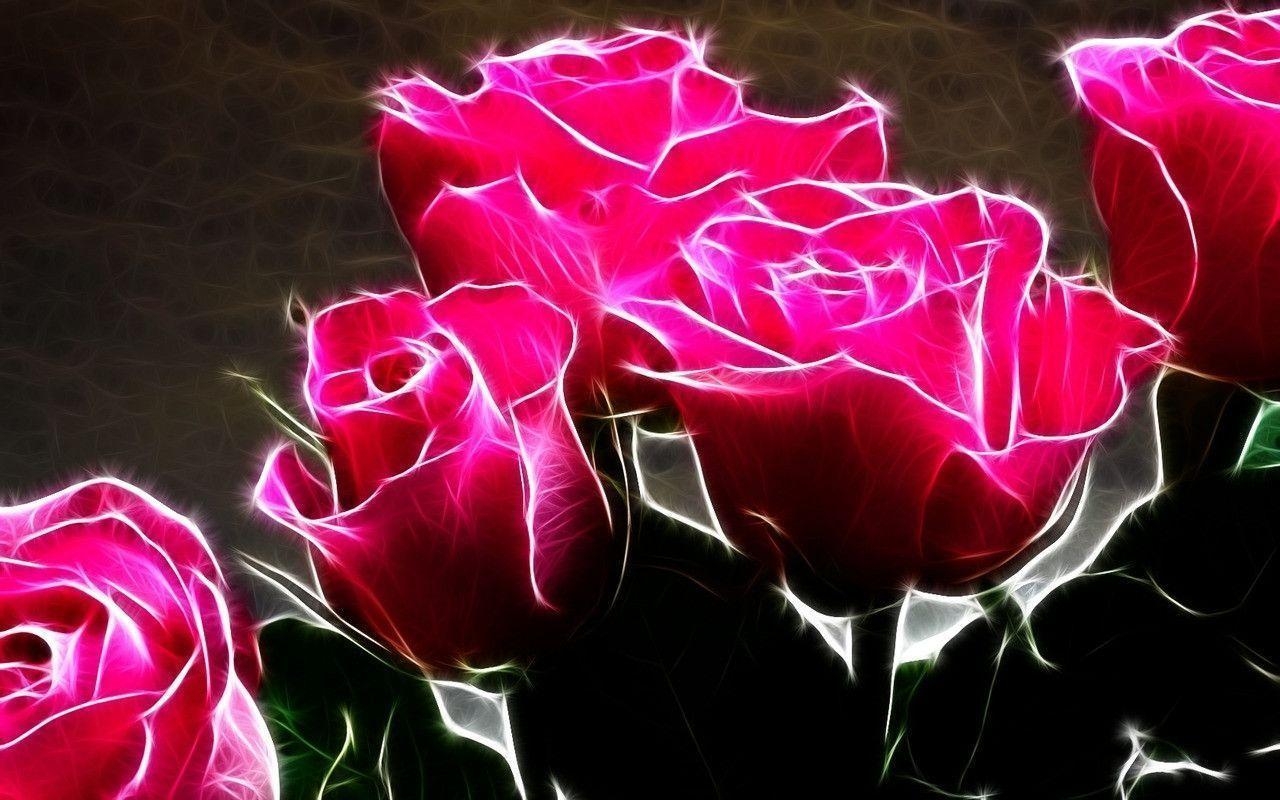 1280x800 Hot Pink Roses, Desktop