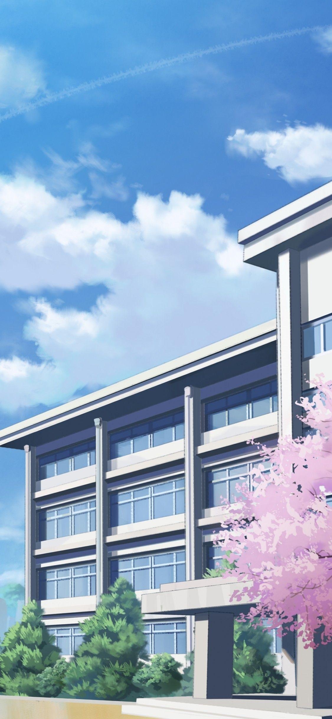 1130x2440 Download  Anime School, Building, Sakura Blossom, Clouds, Phone