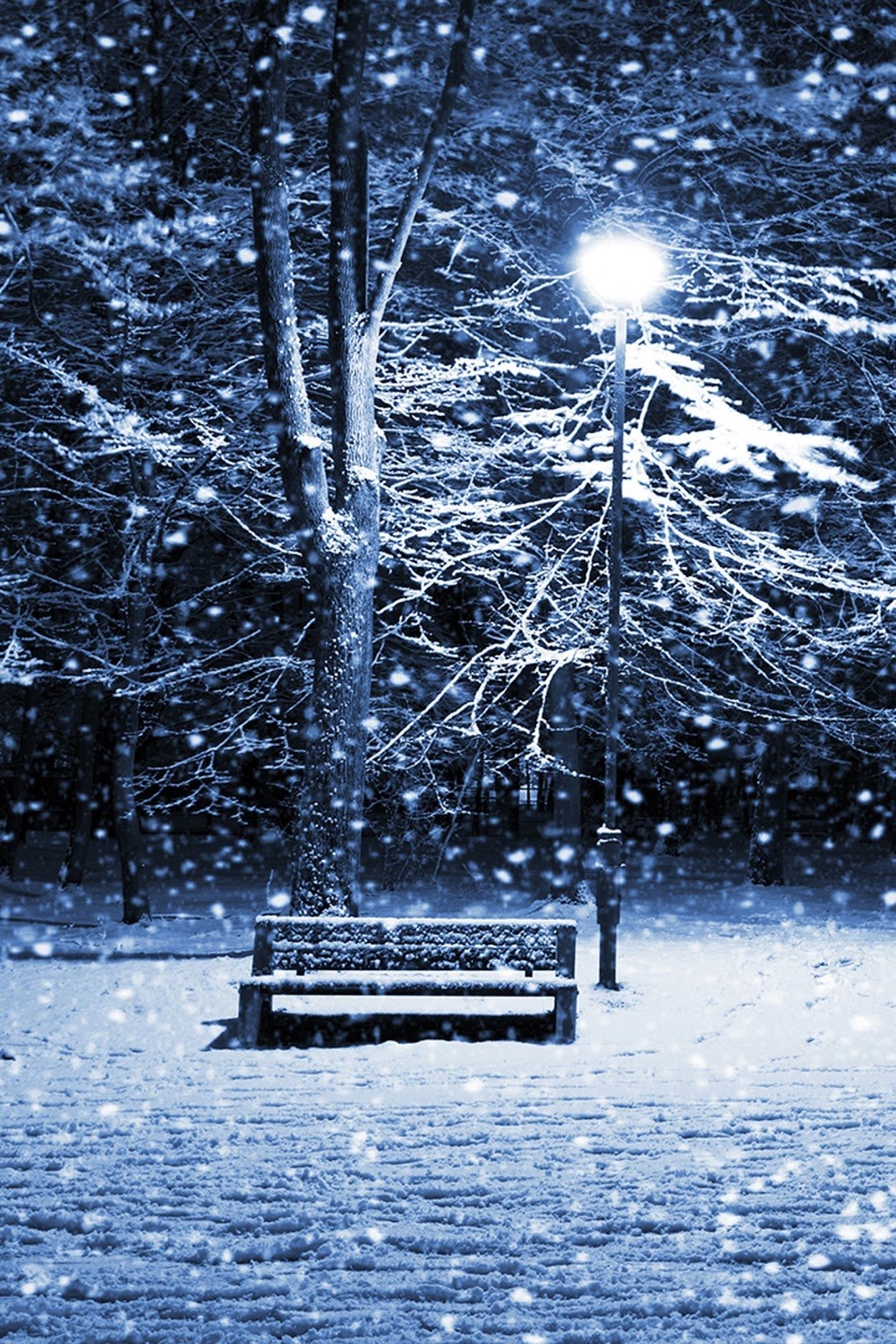 1070x1600 Animated Winter iPhone Wallpaper, Phone