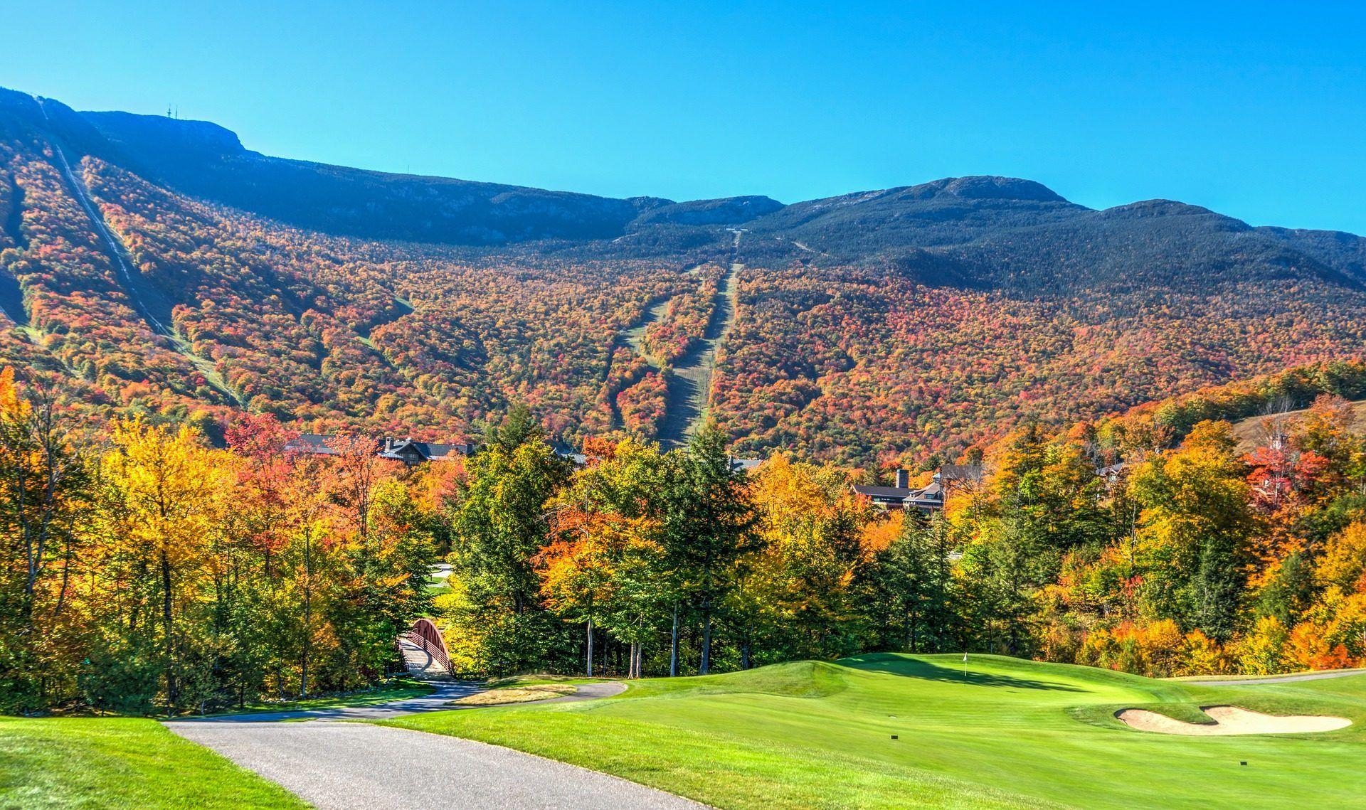 1920x1140 bosque, campo, follaje, montañas, vermont, 1702180810. Fondos de, Desktop