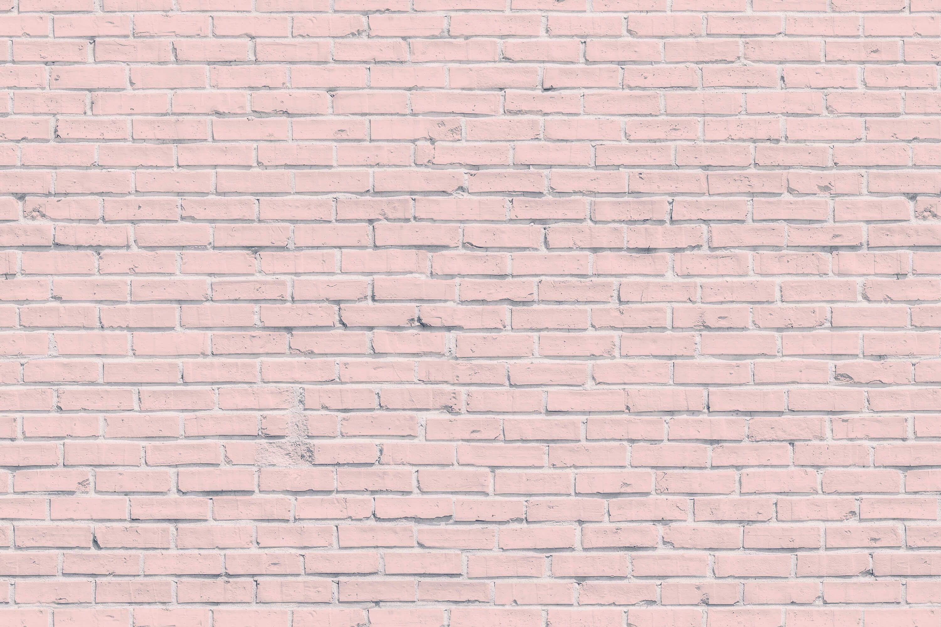 3000x2000 Pink Brick Wall Mural. Blush pink, Wall murals and Bricks, Desktop