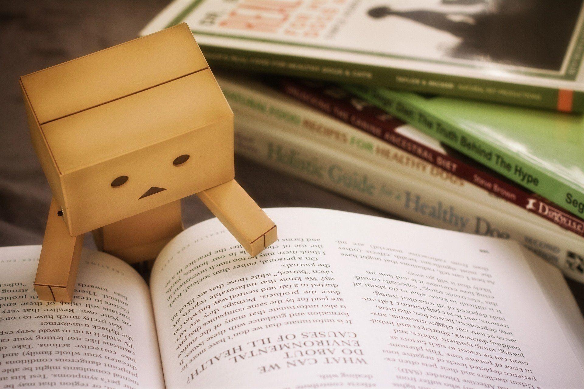 1920x1280 book study danbo cardboard man toys read HD wallpaper, Desktop