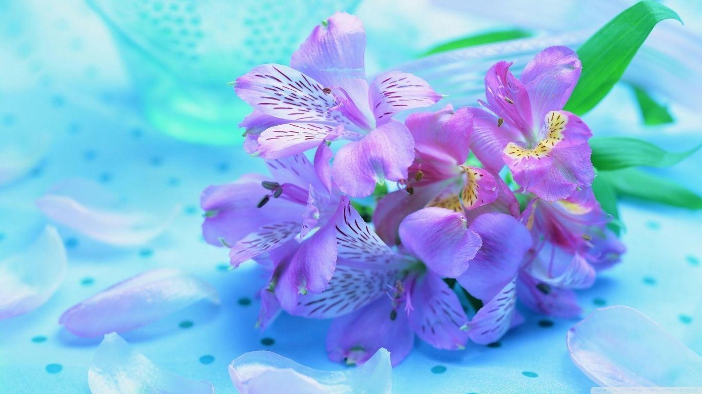 1370x770 Wallpaper HD Purple Flowers HD Cool 7 HD Wallpaper. Hdwalljoy, Desktop