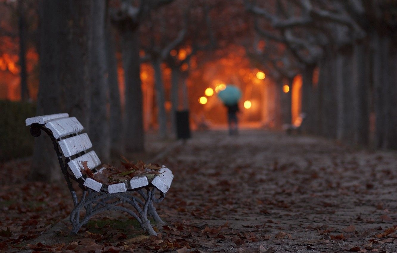 1340x850 Wallpaper leaves, bench, the evening, Autumn, lights image, Desktop