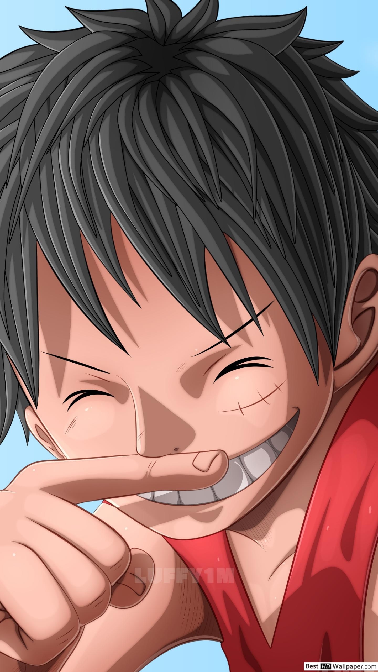 1440x2560 Luffy Smiling HD wallpaper download, Phone