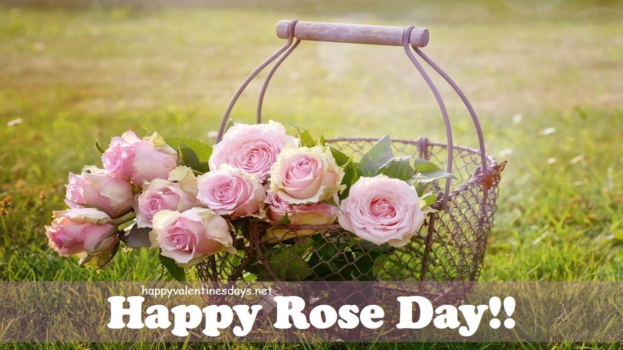 1280x720 Happy Rose Day 2021 Wishes Image Pics, Desktop