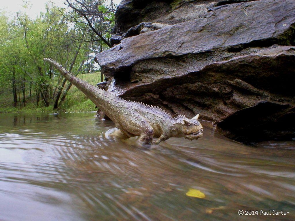 1030x770 Carnotaurus Dinosaur Wallpaper - #LLLL, Desktop