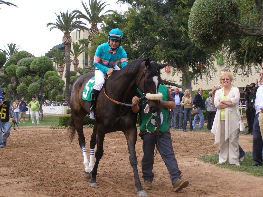 1030x770 Zenyatta Mike Smith, Desktop