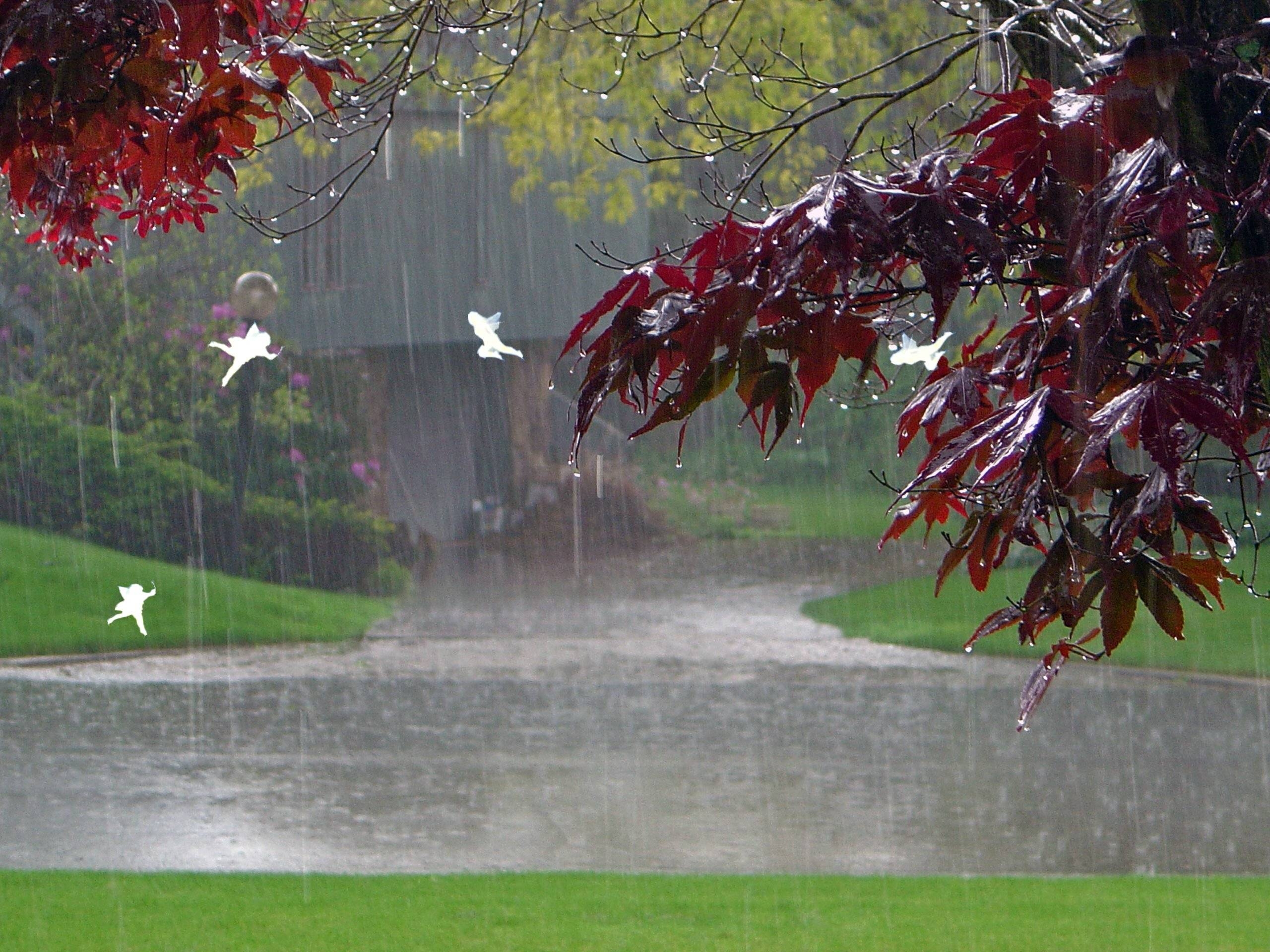 2560x1920 Happy Rainy Day Full HD Wallpaper Free Download. Pak Fun Time, Desktop