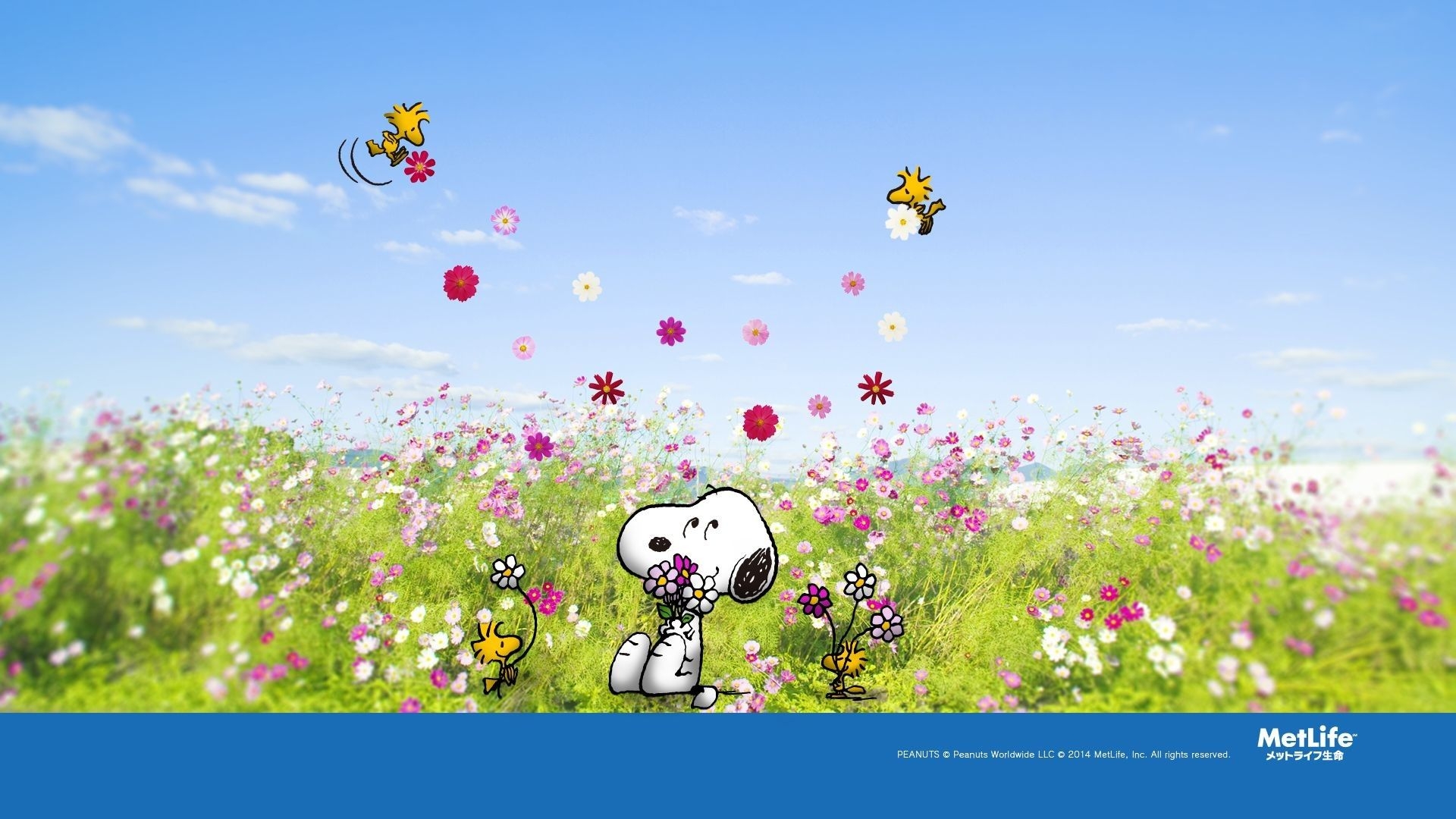 1920x1080 Snoopy Spring Wallpaper, Desktop