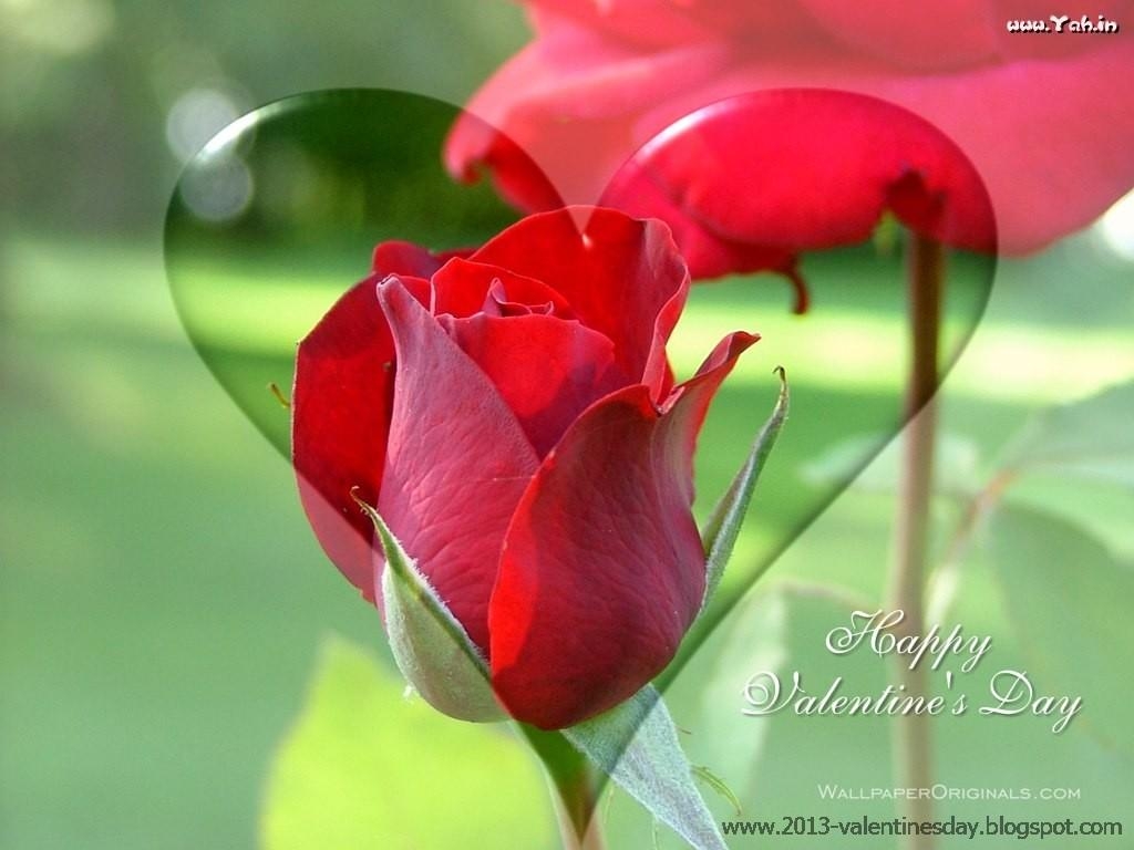 1030x770 Good Night Rose Wallpaper Download , free download, (66), Desktop