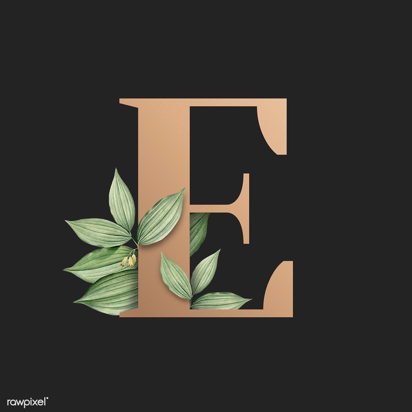 1400x1400 Download premium illustration of Botanical capital letter E illustration. Lettering alphabet fonts, Illustration, Graphic design fonts, Phone