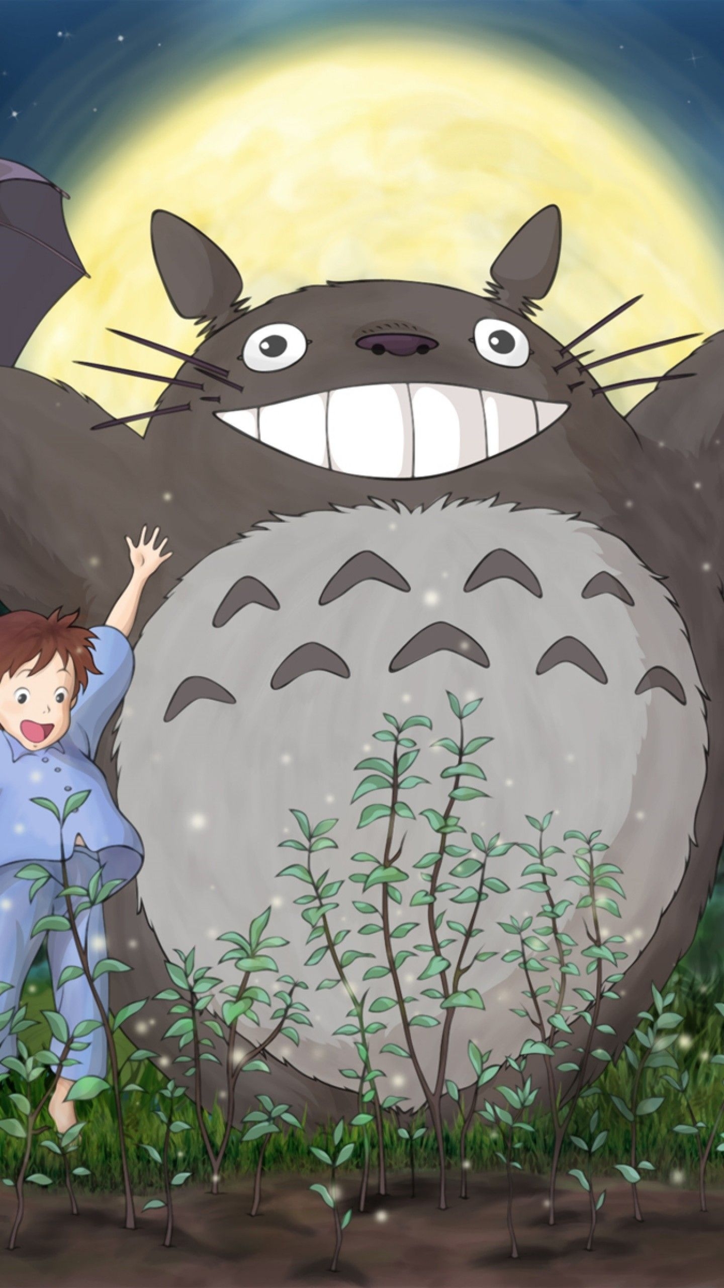 1440x2560 Totoro Wallpaper HD, Phone