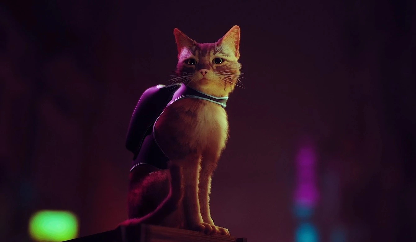 1340x790 Stray, PS5's Cyberpunk Cat Game, Gets a Release Date, Desktop