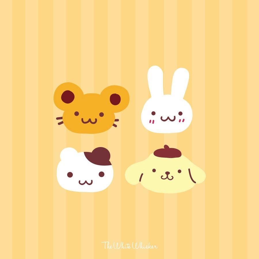 900x900 Sanrio Pompompurin Phone And Tablet Wallpaper, Phone