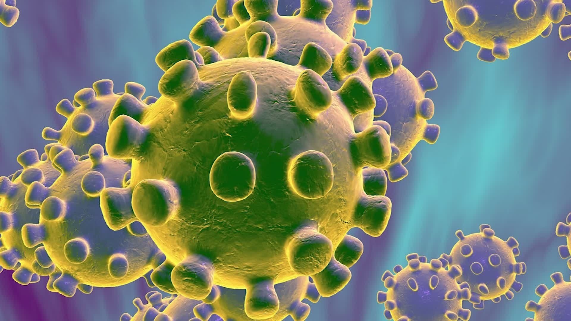 1920x1080 Coronavirus: Why Poxes, Plagues Are Out And New Disease Is 'COVID 19', Desktop