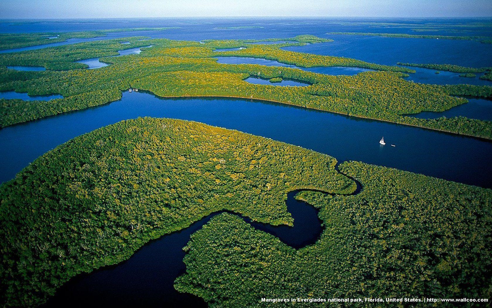 1680x1050 Everglades National Park's mangrove forests 19913, Desktop