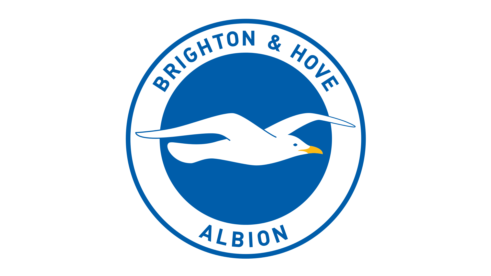 1920x1080 Brighton & Hove Albion logo, Brighton & Hove Albion Symbol, Meaning, Desktop