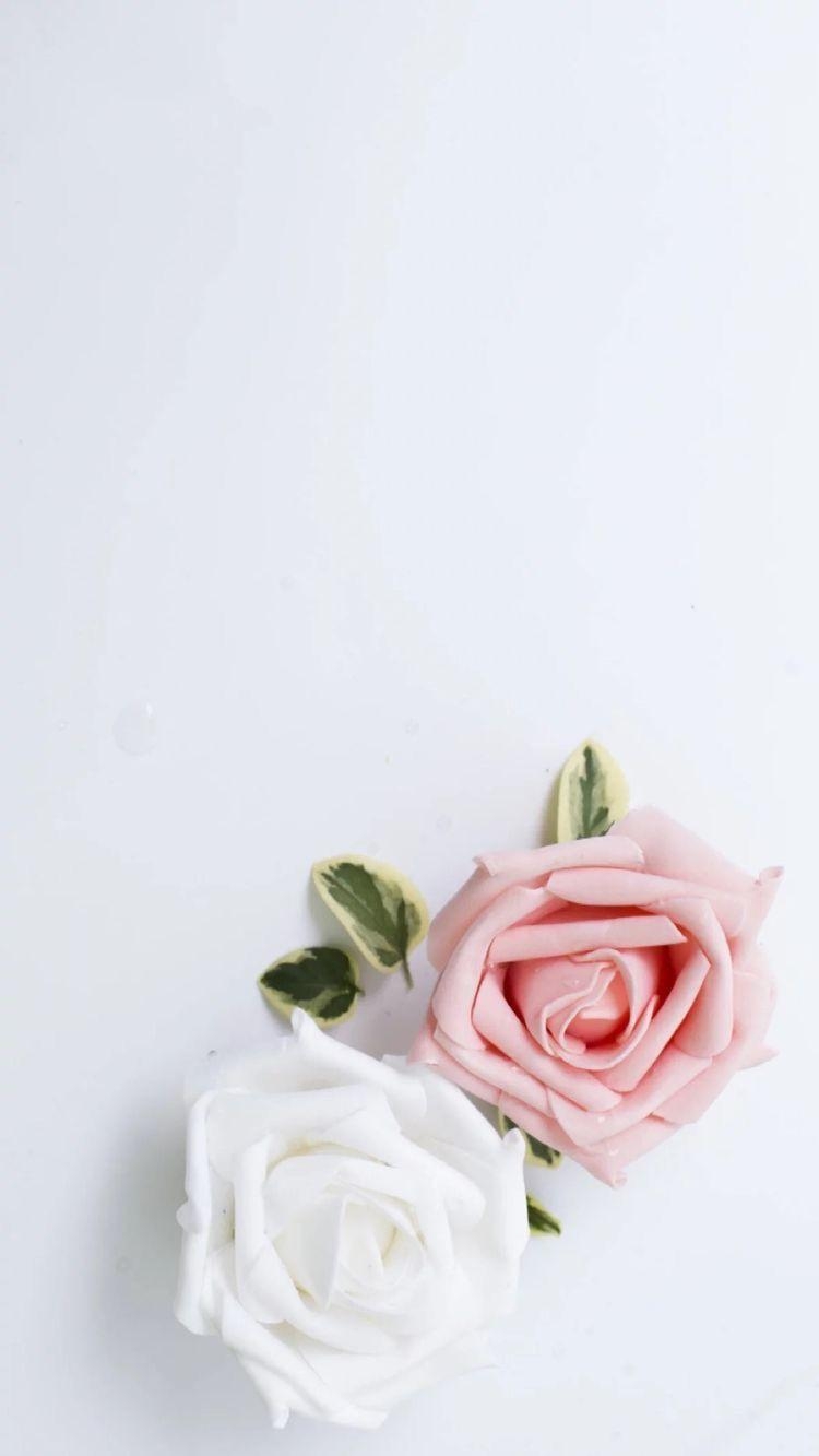 750x1340 Aesthetic Rose Wallpaper Free Aesthetic Rose Background, Phone