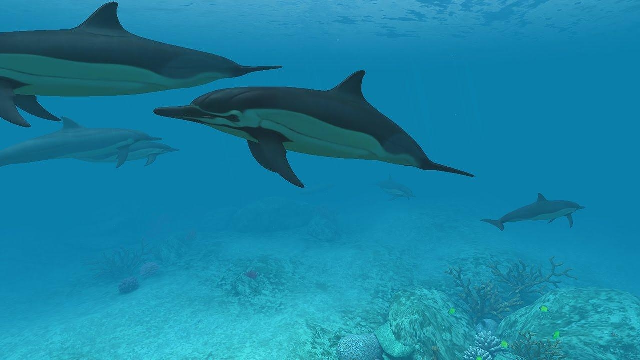 1280x720 Dolphins 3D Screensaver & Live Wallpaper HD, Desktop