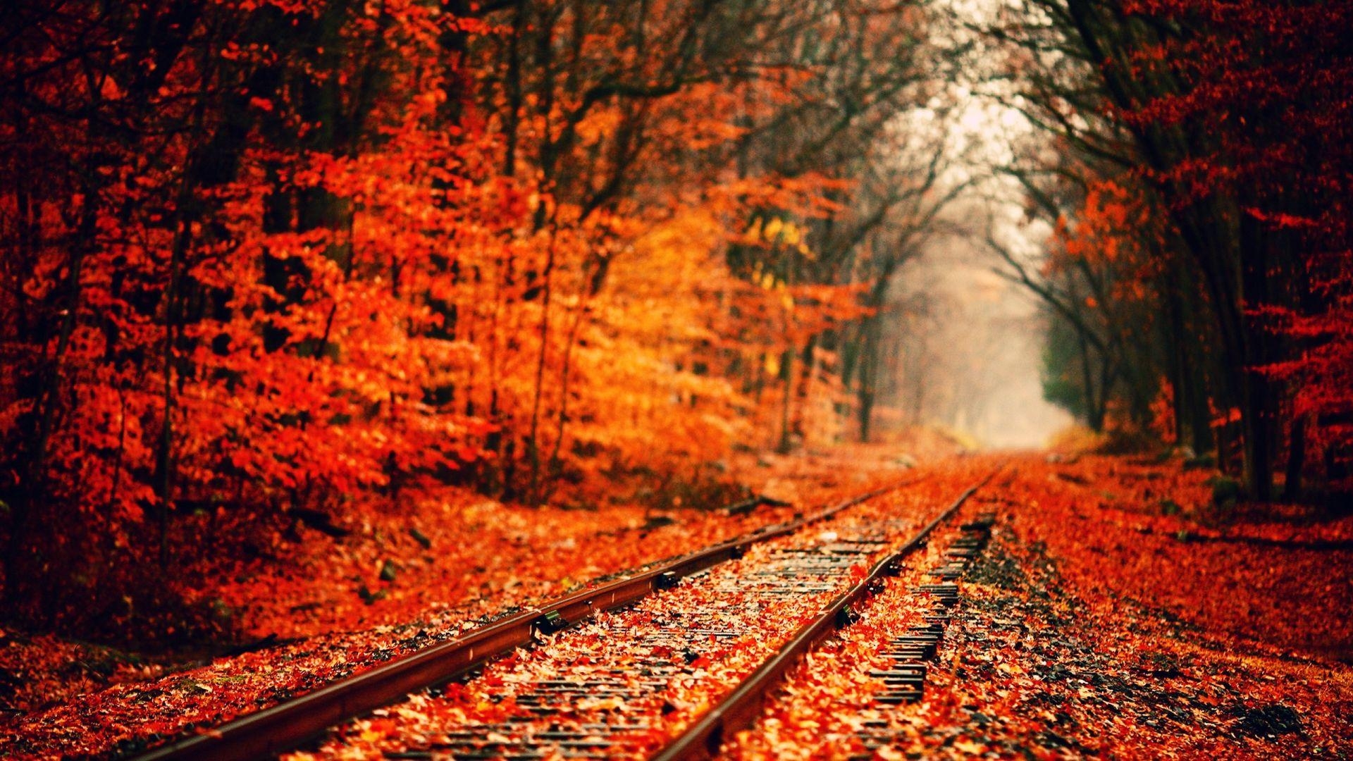 1920x1080 Fall Wallpaper HD make your desktop shine brighter, Desktop